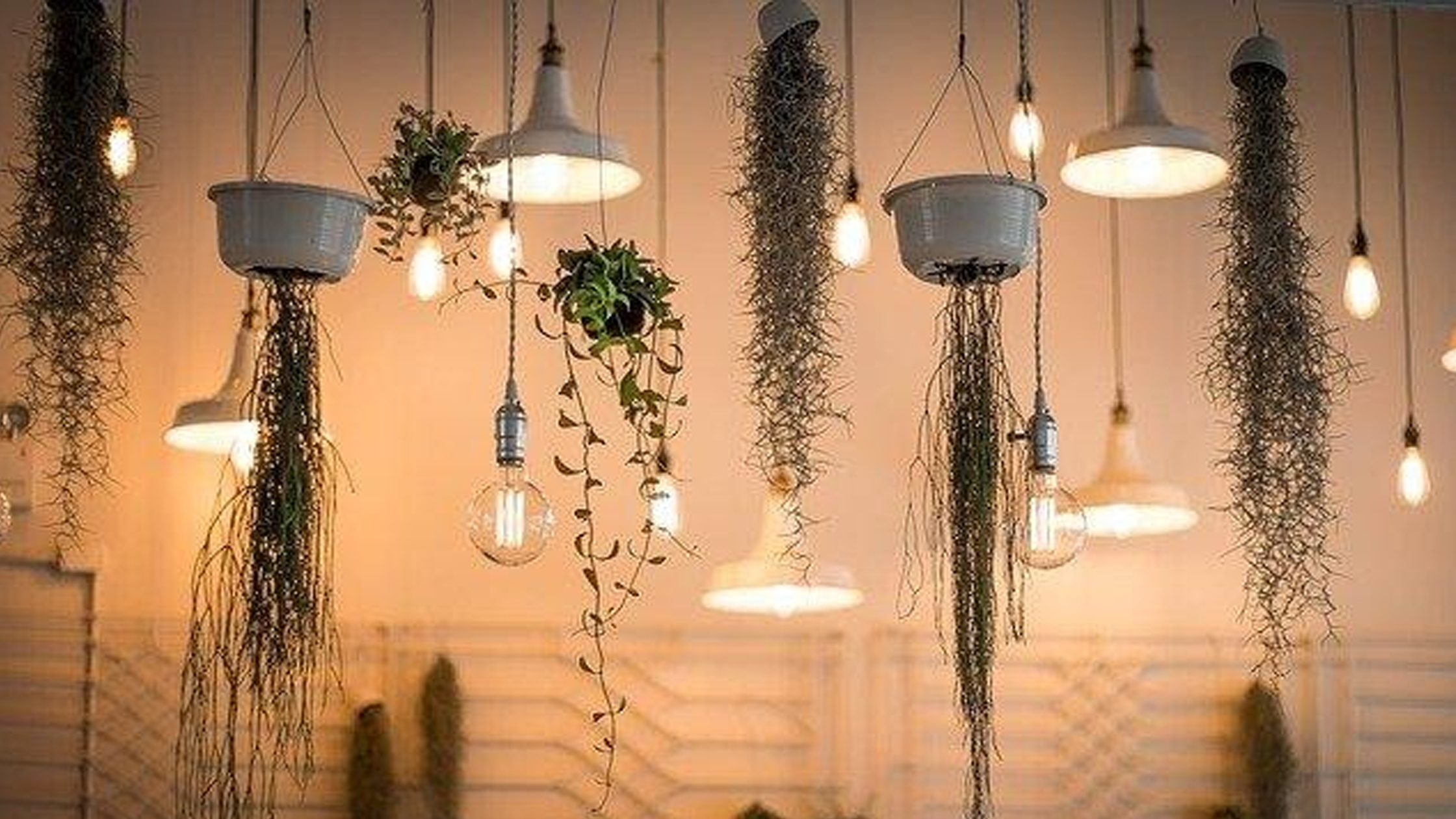 Christmas Light Size Guide