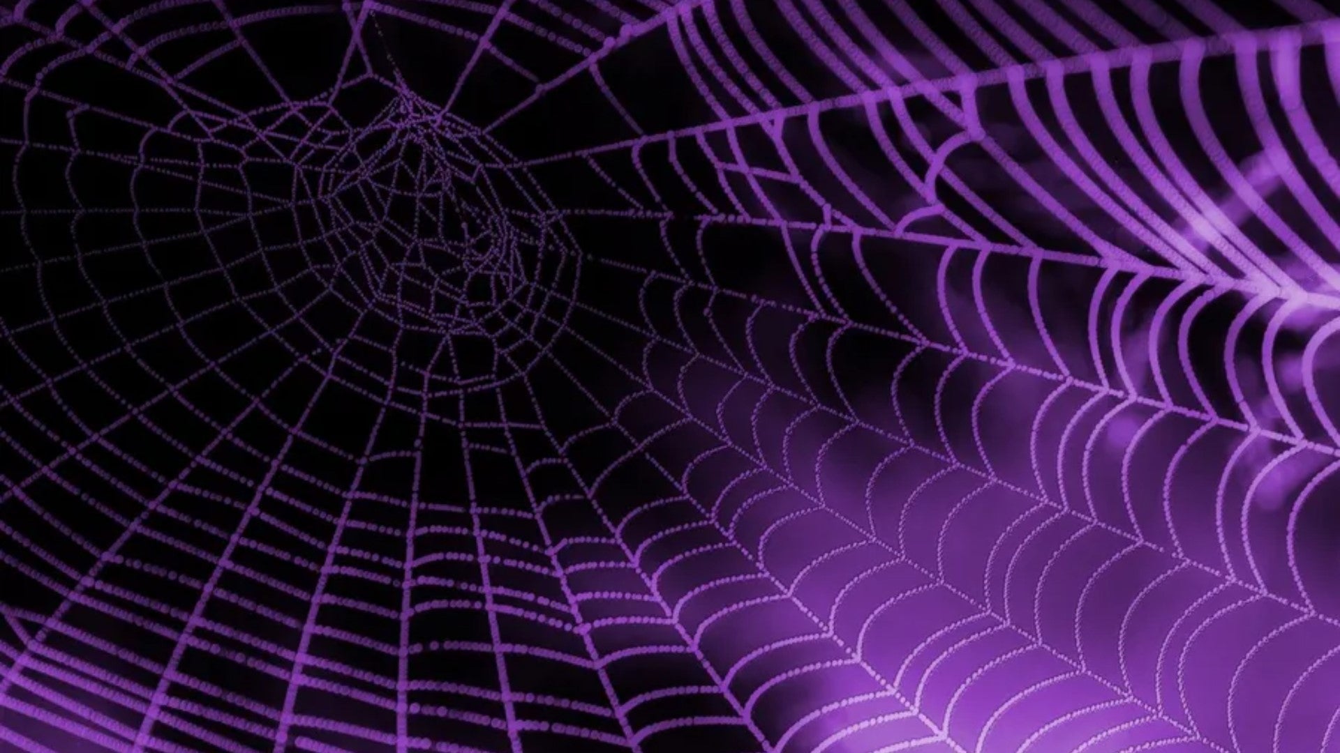 Do LED Lights Attract Spiders? Unraveling the Truth