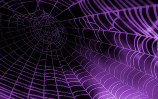 Do LED Lights Attract Spiders? Unraveling the Truth