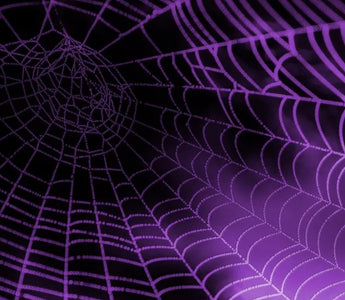 Do LED Lights Attract Spiders? Unraveling the Truth