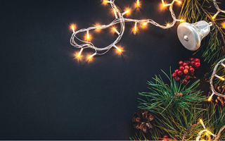 LED Christmas Lights Buying Guide