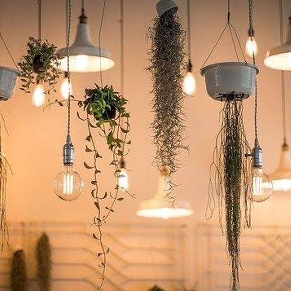 A Guide To Christmas Light Bulb Size Chart, 47 OFF