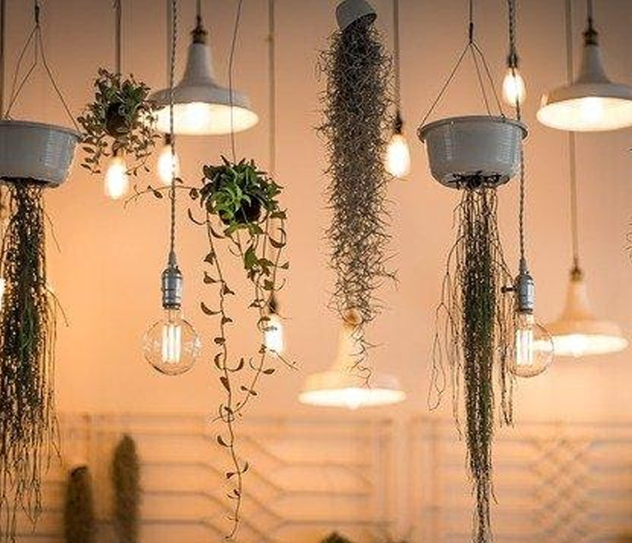 A Guide to Christmas Light Bulb Size Chart YEELIGHT