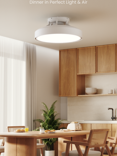 Yeelight Smart Ceiling Light with Fan – YEELIGHT