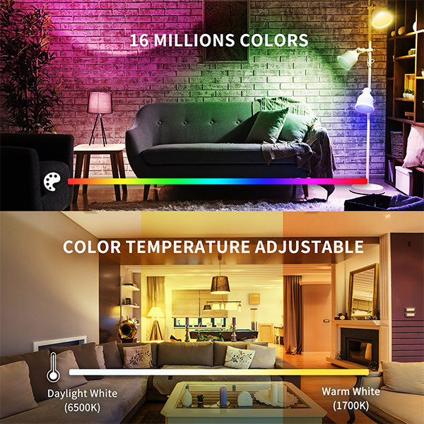 Hey Light Color Smart Light Bulbs | 3 Watt Light Bulb | 3w Led Bulb – YEELIGHT